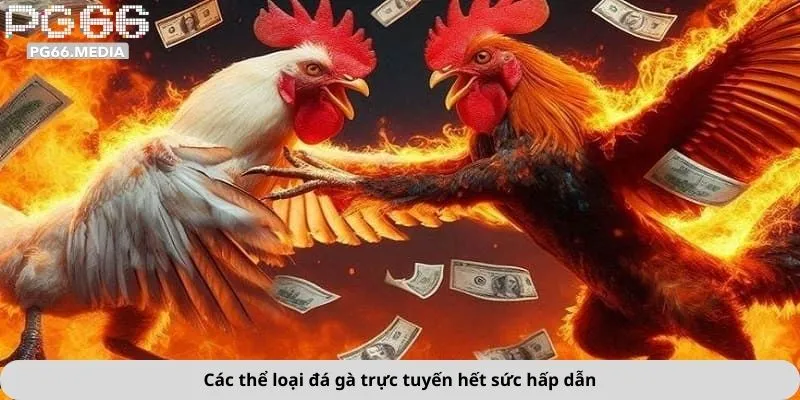 Các thể loại đá gà trực tuyến hết sức hấp dẫn