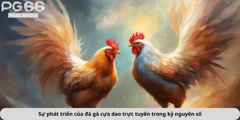 Sự phát triển của đá gà cựa dao trực tuyến trong kỷ nguyên số