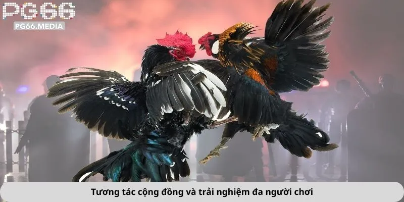 Tương tác cộng đồng và trải nghiệm đa người chơi