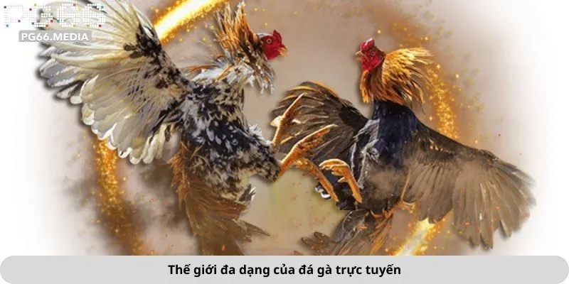 Thế giới đa dạng của đá gà trực tuyến